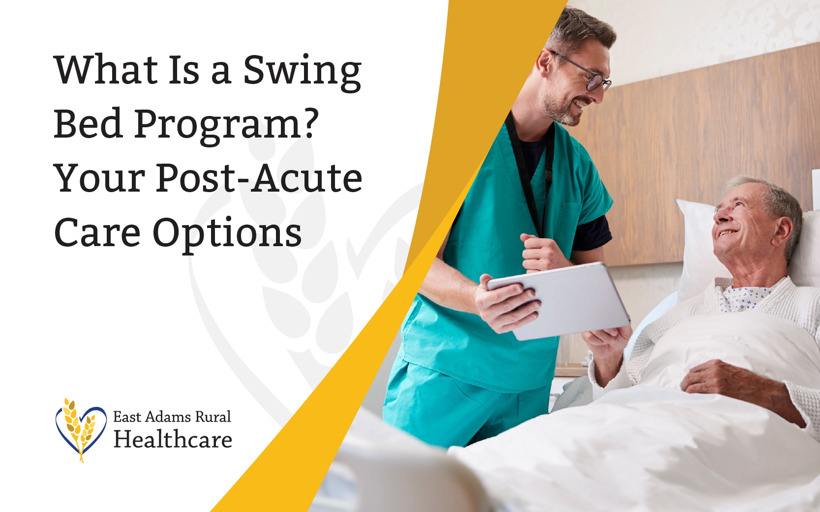 what is a swing bed program